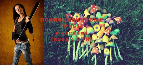 PSILOCYBIN Козельск