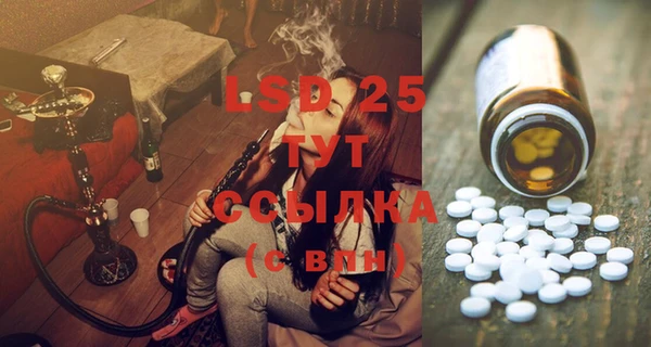 PSILOCYBIN Козельск
