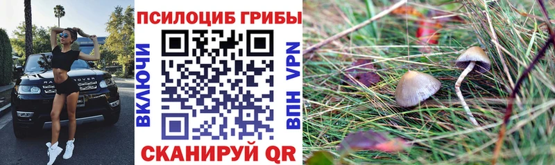 Галлюциногенные грибы мицелий  Лиски 